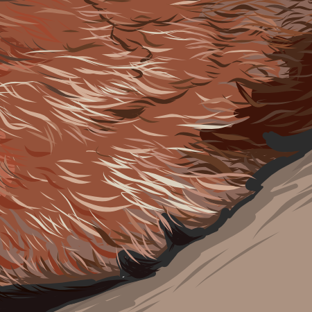 Close up image of chin