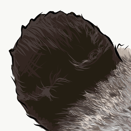 Close up image of right ear