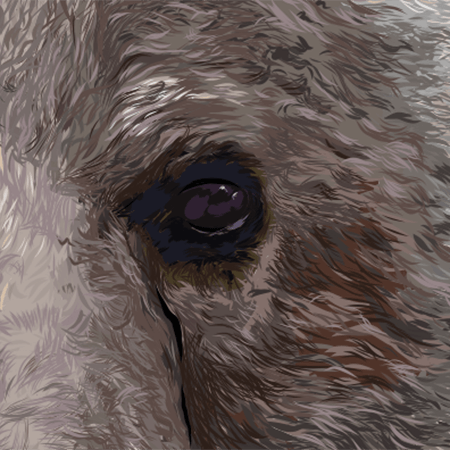 Close up image of left eye
