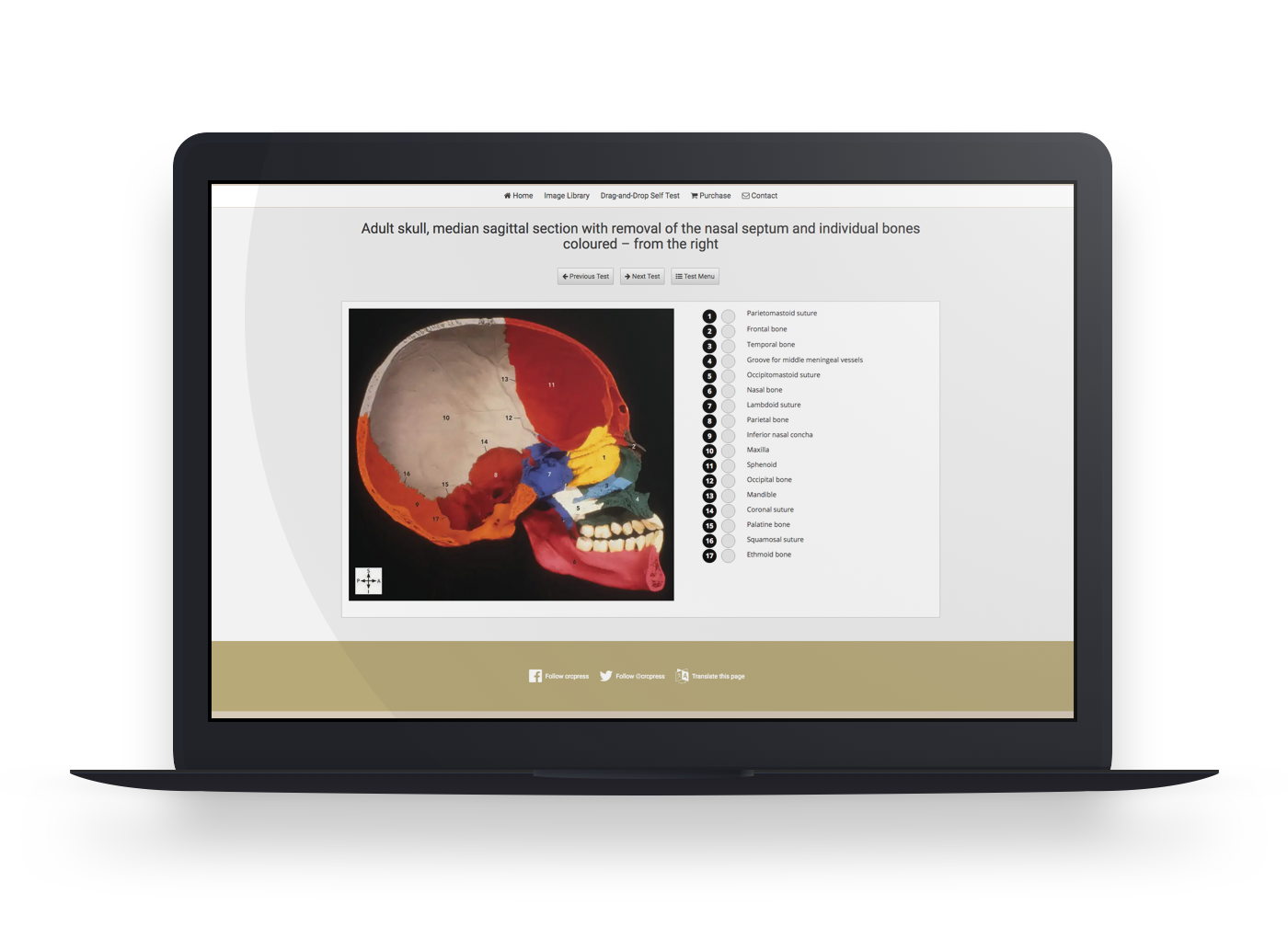 Logan's Illustrated Human Anatomy - website teaser